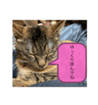こばんスタンプ3（個別スタンプ：9）
