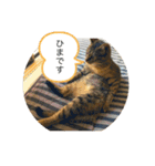 こばんスタンプ3（個別スタンプ：10）