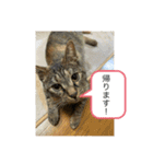 こばんスタンプ3（個別スタンプ：11）