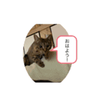 こばんスタンプ3（個別スタンプ：14）