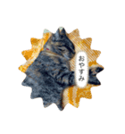 こばんスタンプ3（個別スタンプ：23）