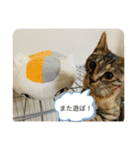こばんスタンプ3（個別スタンプ：24）