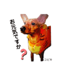 ミニピン こびきNo.2（個別スタンプ：12）