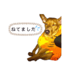 ミニピン こびきNo.2（個別スタンプ：15）