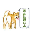 柴犬メッセージ(日本版)（個別スタンプ：16）