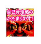 U1アラート赤色点灯編（個別スタンプ：5）
