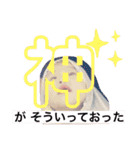 めいっこちゃんGirl（個別スタンプ：23）