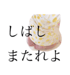 めいっこちゃんGirl（個別スタンプ：25）