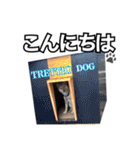♡ 毎日のび太 ♡（個別スタンプ：2）