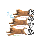 ♡ 毎日のび太 ♡（個別スタンプ：3）