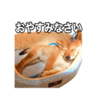 ♡ 毎日のび太 ♡（個別スタンプ：4）