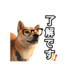 ♡ 毎日のび太 ♡（個別スタンプ：5）