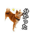 ♡ 毎日のび太 ♡（個別スタンプ：8）