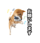♡ 毎日のび太 ♡（個別スタンプ：10）