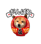 ♡ 毎日のび太 ♡（個別スタンプ：11）