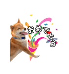 ♡ 毎日のび太 ♡（個別スタンプ：16）