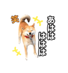 ♡ 毎日のび太 ♡（個別スタンプ：17）