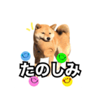 ♡ 毎日のび太 ♡（個別スタンプ：18）