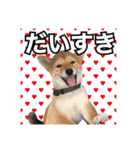 ♡ 毎日のび太 ♡（個別スタンプ：23）