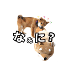 ♡ 毎日のび太 ♡（個別スタンプ：25）
