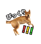 ♡ 毎日のび太 ♡（個別スタンプ：26）