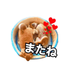 ♡ 毎日のび太 ♡（個別スタンプ：28）