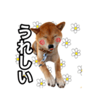♡ 毎日のび太 ♡（個別スタンプ：29）