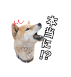 ♡ 毎日のび太 ♡（個別スタンプ：31）