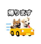 ♡ 毎日のび太 ♡（個別スタンプ：33）