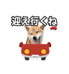 ♡ 毎日のび太 ♡（個別スタンプ：34）