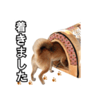 ♡ 毎日のび太 ♡（個別スタンプ：35）
