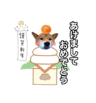 ♡ 毎日のび太 ♡（個別スタンプ：40）