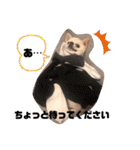 日本一のチワワなLEON君（個別スタンプ：16）
