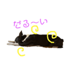 おきゃわメロウ（個別スタンプ：1）