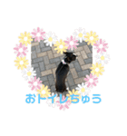 おきゃわメロウ（個別スタンプ：8）