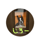 おきゃわメロウ（個別スタンプ：11）