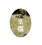 おきゃわメロウ（個別スタンプ：12）
