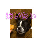 おきゃわメロウ（個別スタンプ：15）