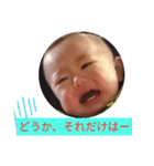 シンサク（個別スタンプ：13）
