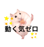 職業、たいぞー（個別スタンプ：1）