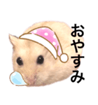 職業、たいぞー（個別スタンプ：6）