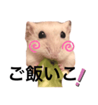職業、たいぞー（個別スタンプ：8）