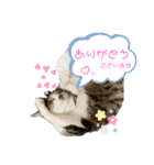 ばろんとてと（個別スタンプ：4）