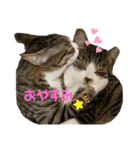 ばろんとてと（個別スタンプ：5）