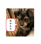 歩く宝石（個別スタンプ：2）