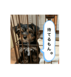 歩く宝石（個別スタンプ：7）