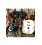 歩く宝石（個別スタンプ：8）