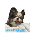 リロズスタンプ（個別スタンプ：2）