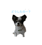 リロズスタンプ（個別スタンプ：3）