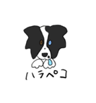 犬を飼ってます (楽しい日々)（個別スタンプ：11）